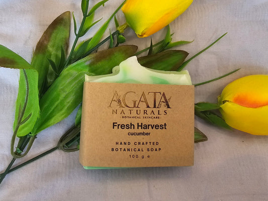 “Handmade cucumber soap for refreshing, cooling cleanse”
“Fresh harvest soap with coconut oil, shea butter, and cucumber”