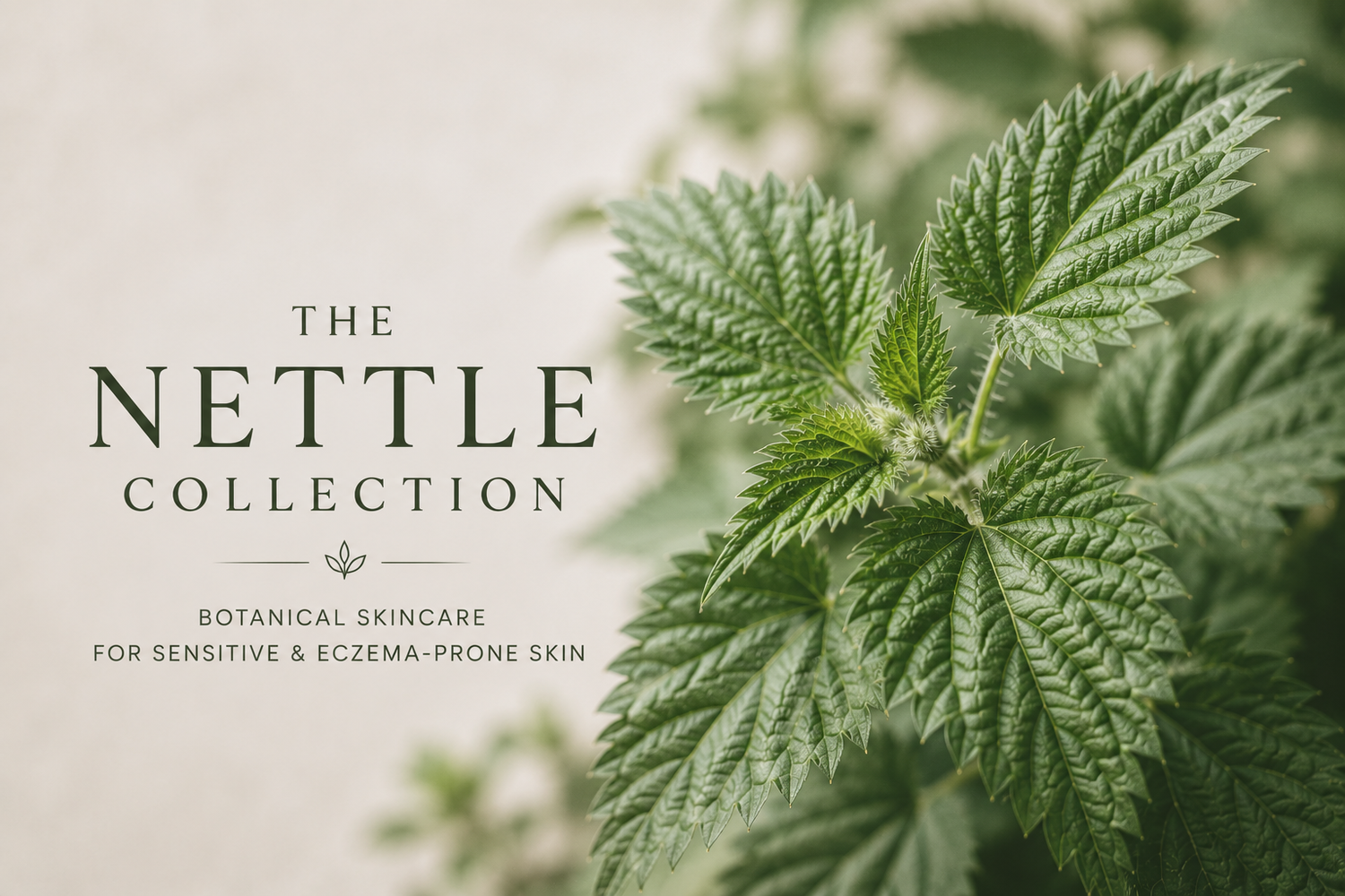 The Nettle Collection
